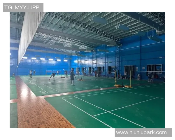 广州羽毛球队在钻石联赛中的战术表现分析与启示