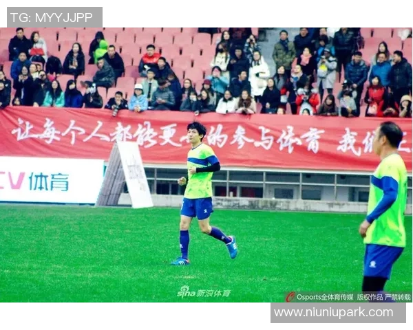 德国现役足球明星身价排行榜揭晓引发球迷热议